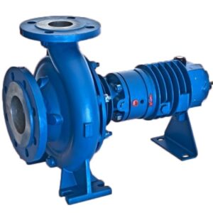 THERMIC FLUID / HOT OIL CENTRIFUGAL PUMP ISO 2858/5199